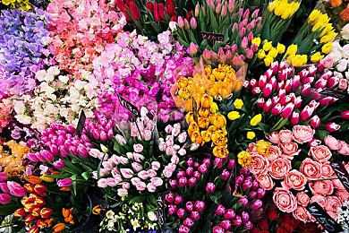 外媒测试：《看门狗：军团》未加密版并无性能提升